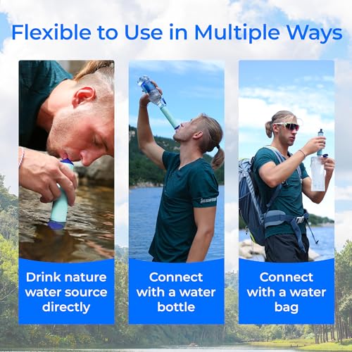 Portable Water Filter Straw (4 Count)