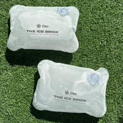 6 Pack Ice Brick (6 Count)