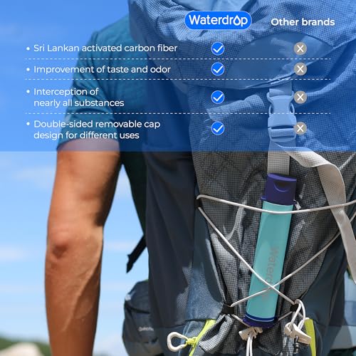 Portable Water Filter Straw (4 Count)