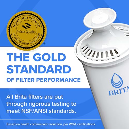 Standard Water Filter for Pitchers and Dispensers (2 Count)