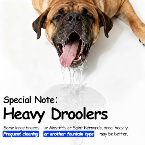 Stainless Steel Dog Water Fountain
