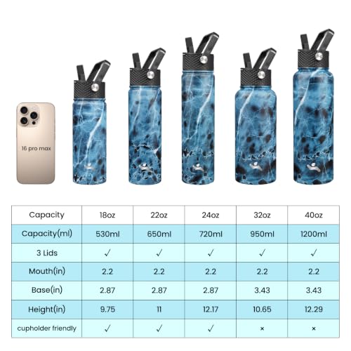 32 oz Insulated Stainless Steel Water Bottle with Straw Lid