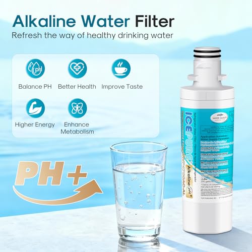 Alkaline LT1000PC Refrigerator Water Filter and Air Filter Replacement for LG LT1000P (2 Count)