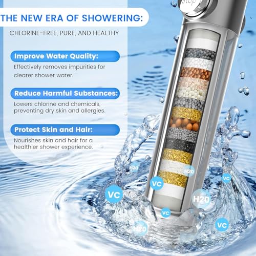 Filtered Shower Head with Handheld (3 Count)