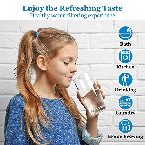 5 Stage 50 GPD RO Water Filter Set Replacement Fit for APEC Reverse Osmosis