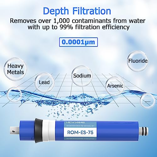 75 GPD RO Membrane Filter with Housing