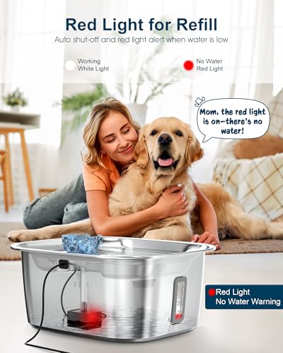 Dog Water Fountain Pump Replacement
