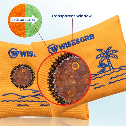 100g x 5 Pack Reusable Desiccant Packs for Storage (5 Count)