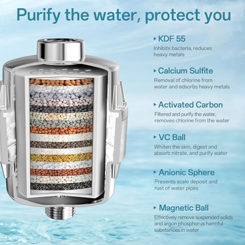 8'' Dual 20 Stage Filtered Shower Head with Handheld