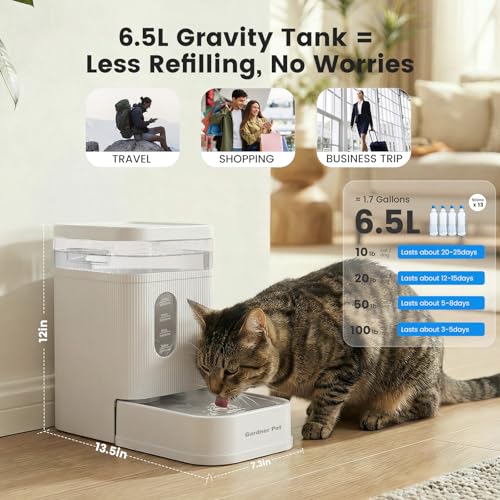 1.7 Gallon Automatic Dog Water Bowl Dispenser 6.5L Gravity Water Feeder with Stainless Steel Bowl & Maifan Stone Filter
