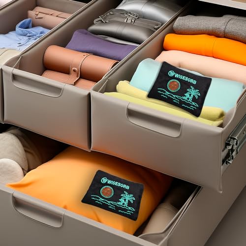 50gx6pcs Rechargeable Desiccant Packs for Storage