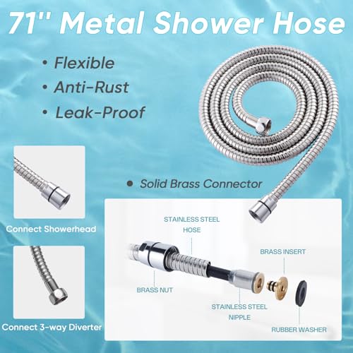 8'' Dual 20 Stage Filtered Shower Head with Handheld