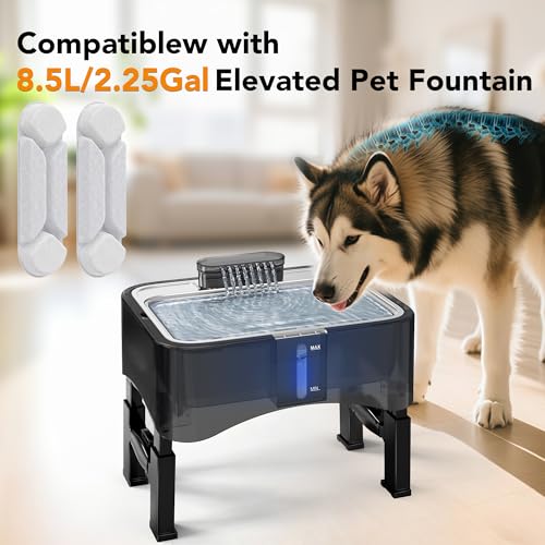 5 Pcs Replacement Filters for 8.5L Elevated Dog Water Fountain