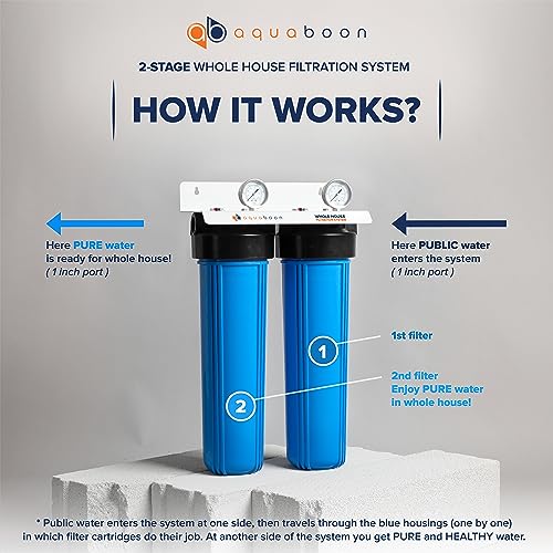 2 Stage Whole House Water Filter System with 20x4.5 Filters Against Sediment & Chlorine with Pressure Gauge & Release