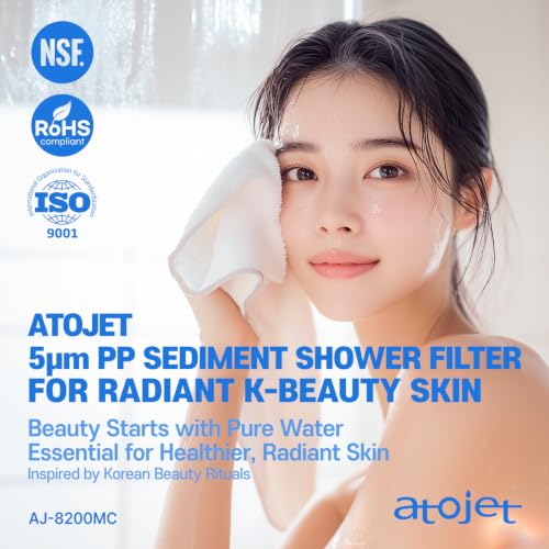Showerhead Replacement Filters Inspired By Korea's Beauty Culture (5 Count)