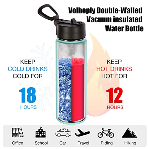 Insulated Water Bottles with Straw Bulk 8 Pack (8 Count)