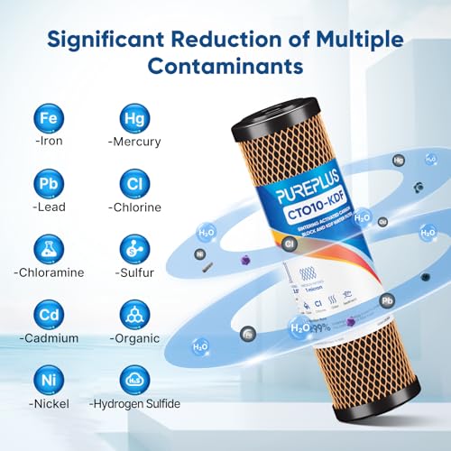 1 Micron 2.5"x10" Whole House Heavy Metal Removal Water Filter (2 Count)