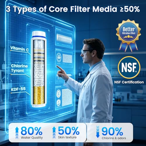 Filtered Shower Head with Handheld