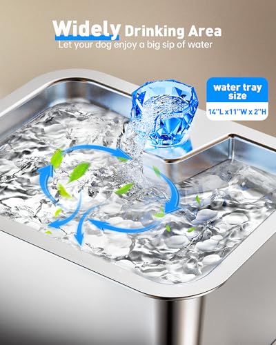 Stainless Steel Dog Water Fountain