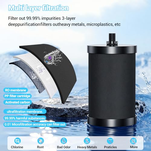2 Pack Replacement Water Filters for Alexapure 2387 Pro