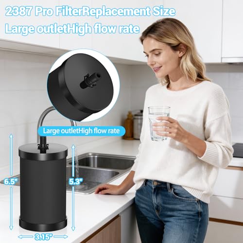 2 Pack Replacement Water Filters for Alexapure 2387 Pro