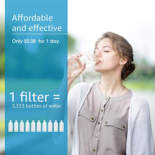 1000R Water Filter Replacement for Culligan® 1000R Cartridge