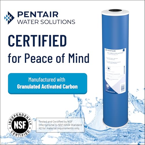 Pentair Pentek GAC