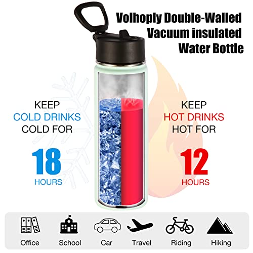 22 oz Insulated Water Bottles with Straw Lid