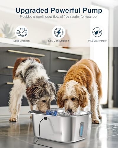 Dog Water Fountain Pump Replacement