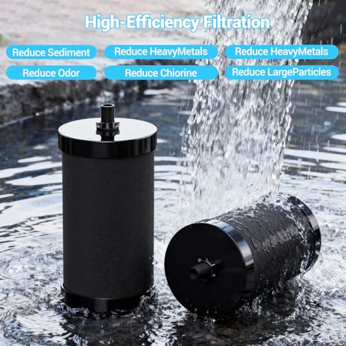2 Pack Replacement Water Filters for Alexapure 2387 Pro