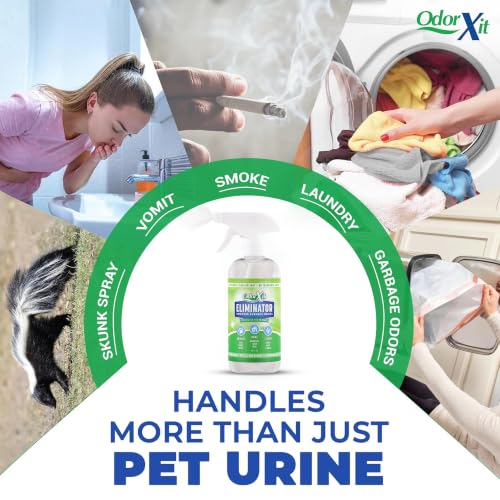 Pet Urine Odor Eliminator Spray (16 Fl Oz)
