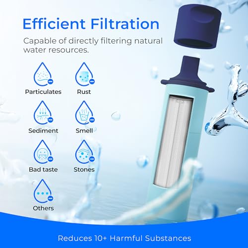 Portable Water Filter Straw (4 Count)