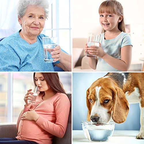 T1 Series T33 Post Carbon Water Filter Replacement