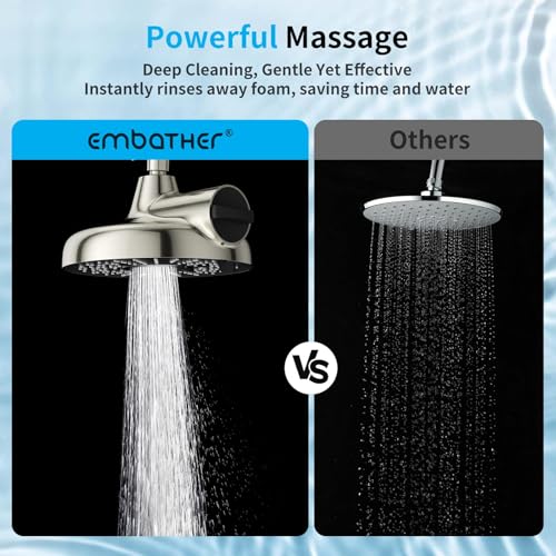 8 Inch Filtered Shower Head with Extension Arm Brushed Nickel