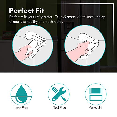 PLUS 46 9690 NSF (2 Count)