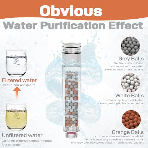 Filtered Handheld Showerhead with 30 (6 Count)