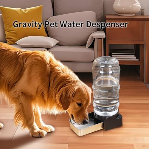 1.6 Gallon Gravity Dog Water Dispenser