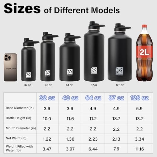 32 oz Insulated Water Bottle