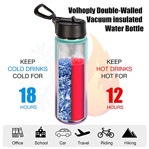 22 oz Insulated Water Bottles with Straw Lid