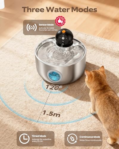 Cordless Cat Water Fountain Wireless