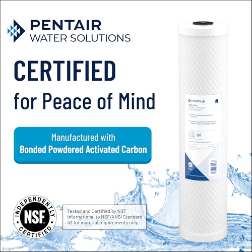 Pentair Pentek CBC (2 Count)