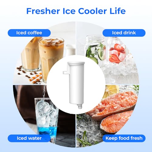 C33 Ice Maker Filter (8 Count)