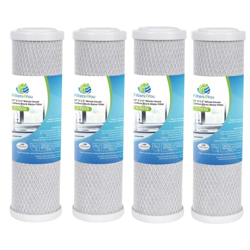 0.5 Micron Carbon Water Filters for CG53 (4 Count)