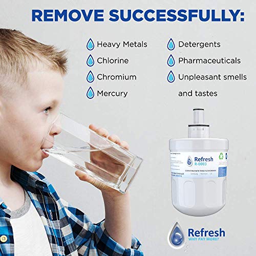 Refresh Refrigerator Water Filter Replacement
