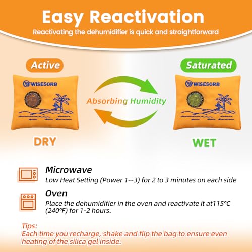 100g x 5 Pack Reusable Desiccant Packs for Storage (5 Count)