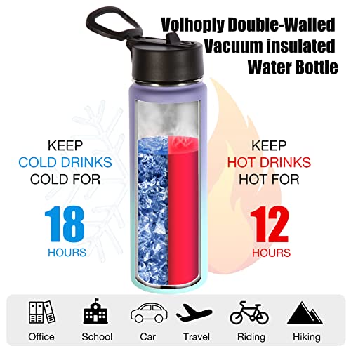 Insulated Water Bottles with Straw Bulk 2 Pack (2 Count)