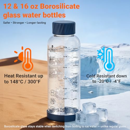 12 oz Glass Juice Bottles 4 Pack