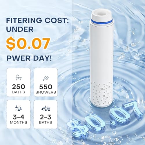 6 Pack Shower Filter for Handheld Shower Head (6 Count)