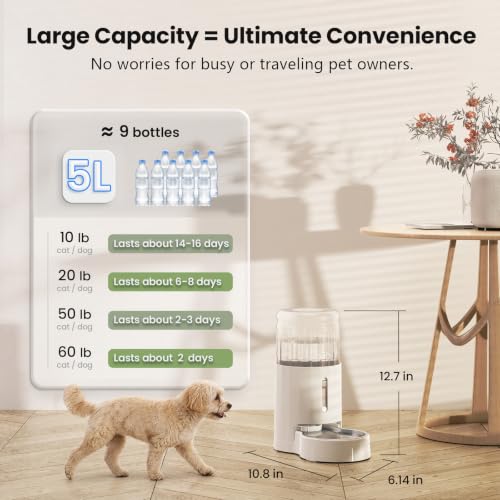 Automatic 5L Filter Dog and Cat Water Dispenser