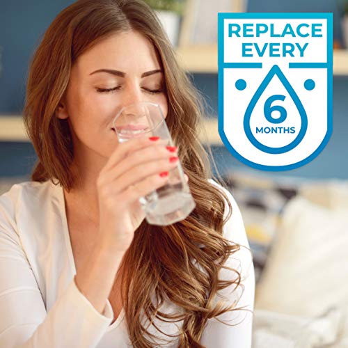 NSF Refrigerator Filter Replacement for UKF8001 Filter 4 EDR4RXD1 (3 Count)